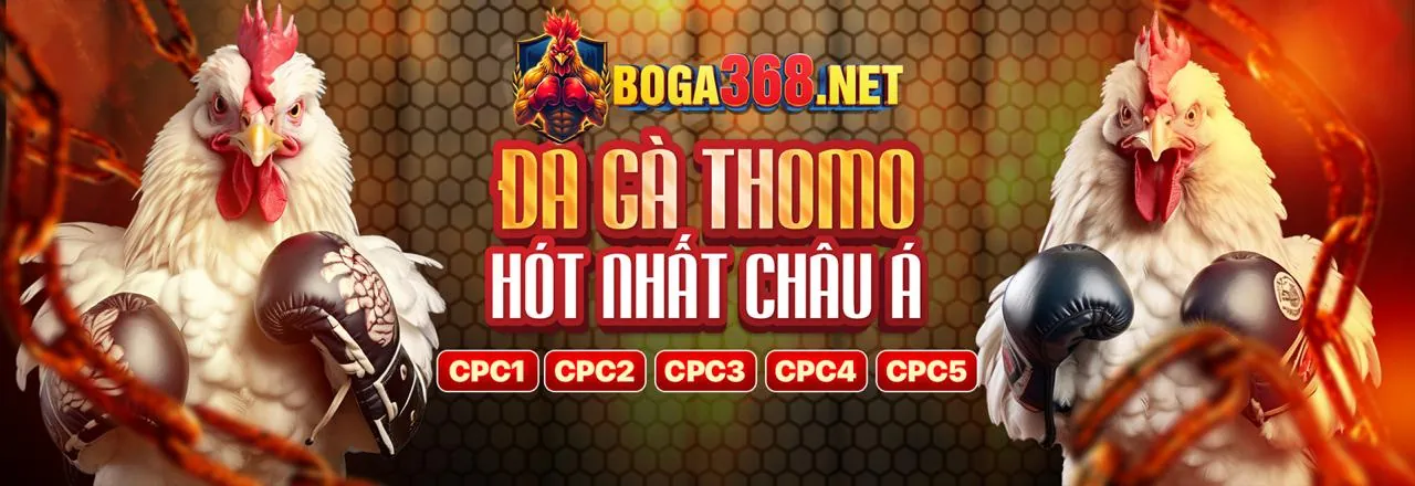 Hình ảnh Câu lạc bộ VIP qq8827 với các đặc quyền sang trọng