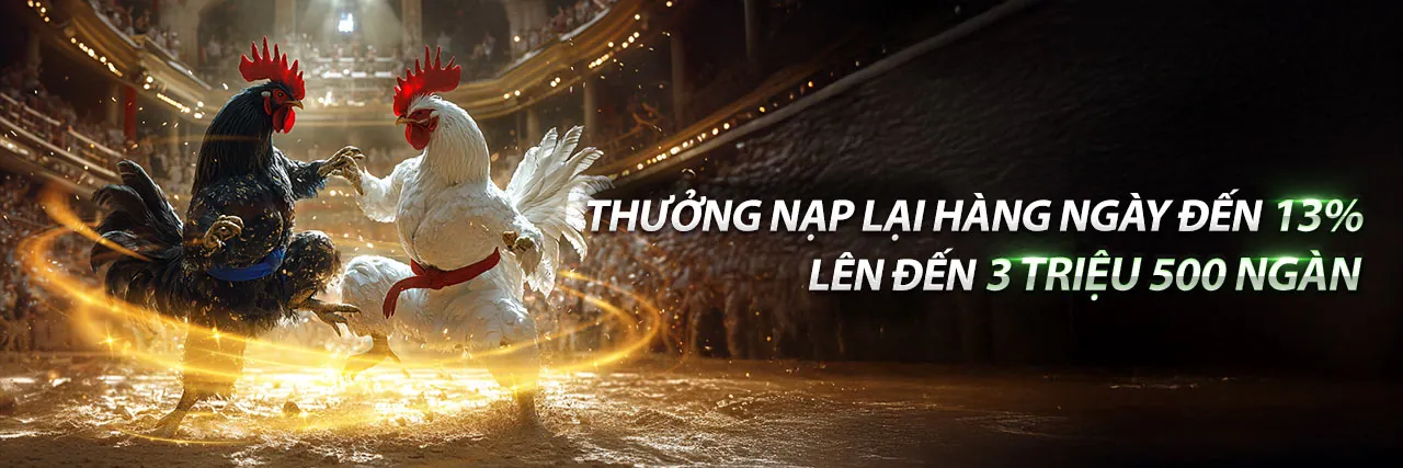 Đá Gà Trực Tuyến QQ8827 Link Mới